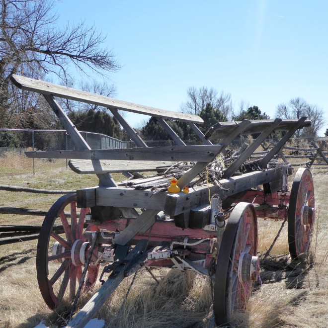 Wagon for the farm work