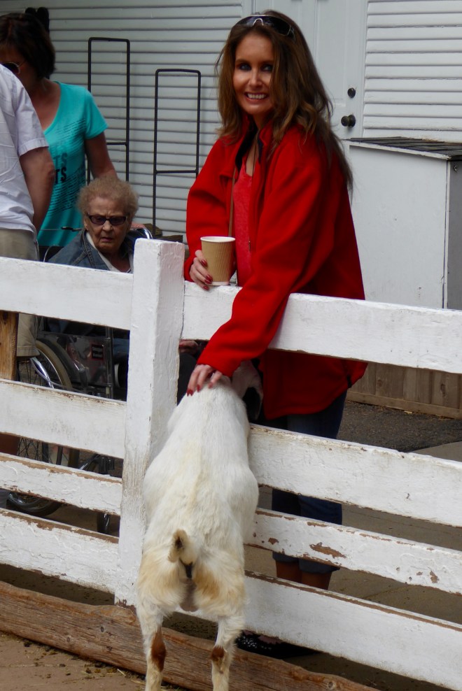 Soapy's mom feeding a goat