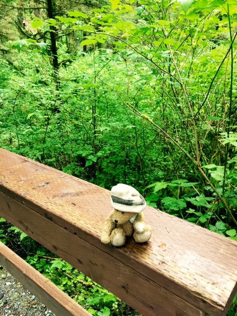 Channel in Ketchikan