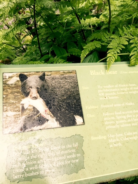 Big Bears? Be careful Channel. 