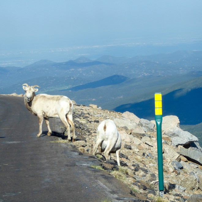 Our friends were waiting for us