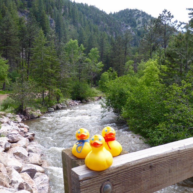 Just sit and enjoy this park