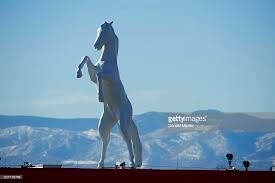 Bucky. Mom did not take this photo.