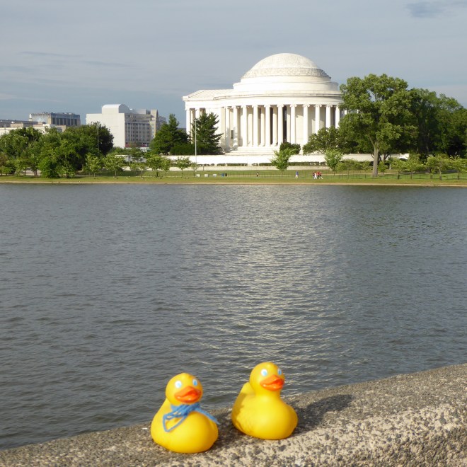 Jefferson Monument across Tidal Basin, Washington DC