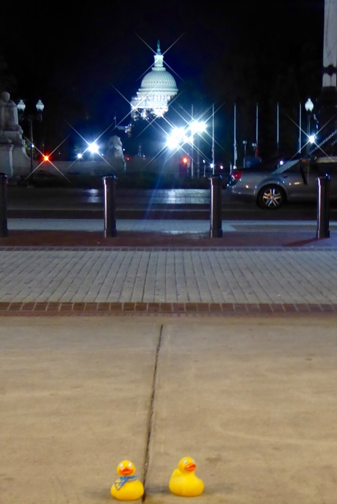 Washington DC night tour