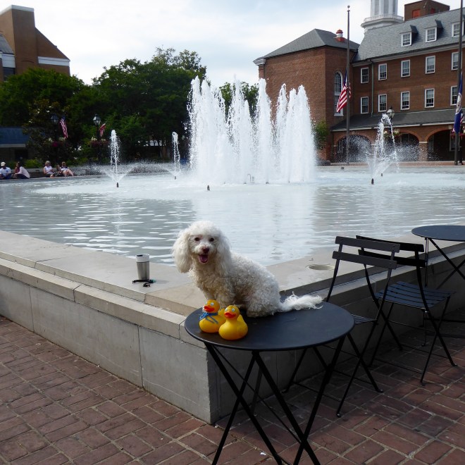We are with this really cute dog.