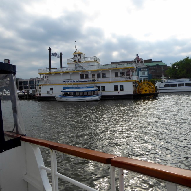 Cherry Blossom Paddle Wheel Boat