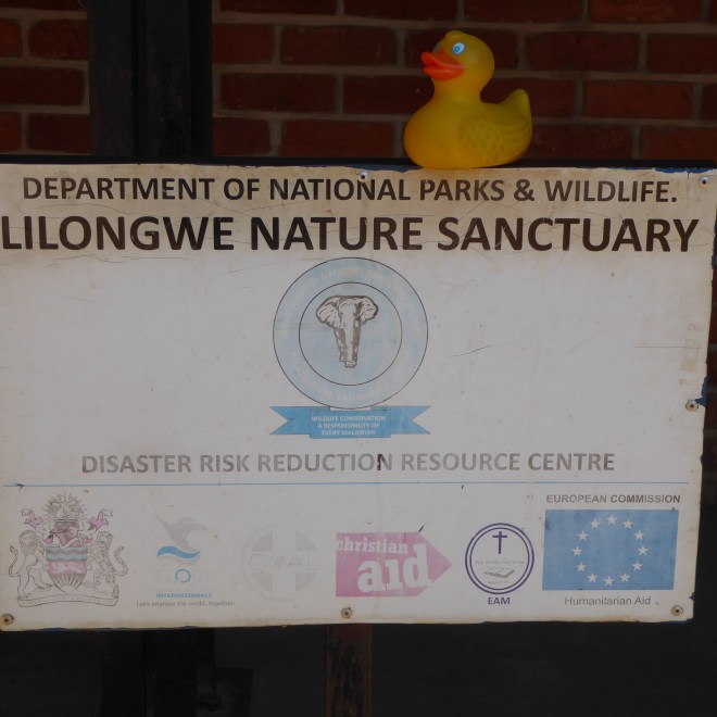 Let's explore he Lilongwe Nature Sanctuary