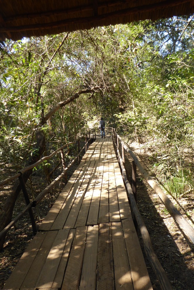 Let's go see the Lilongwe Wildlife Center