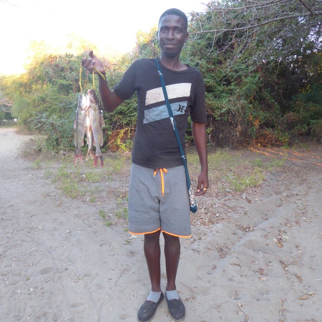 Pumpkin caught these fish