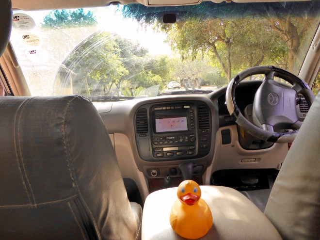 Our transportation. Can I drive?