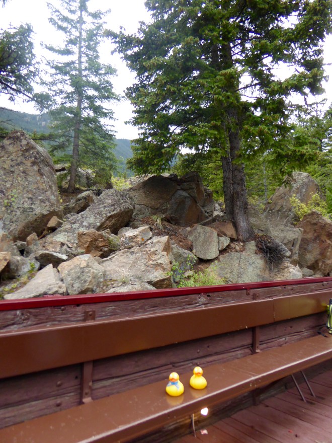 Love riding in Colorado's Rocky Mountains