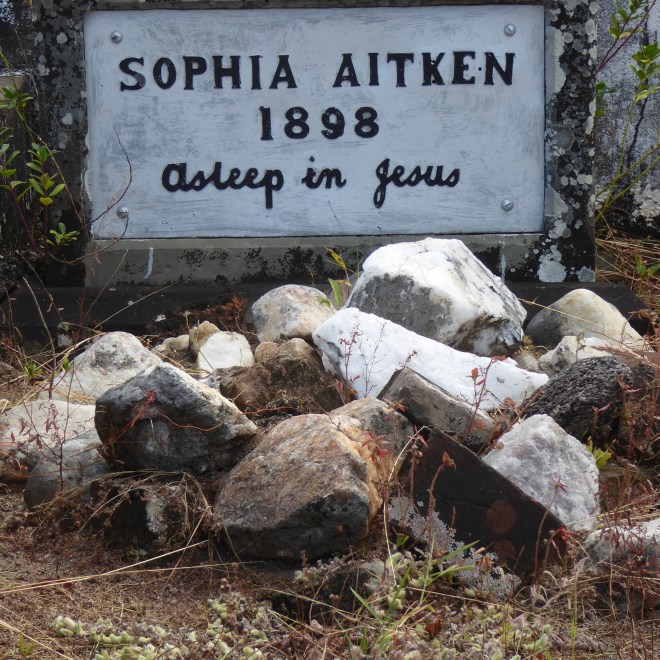 Sophia Aitken at rest