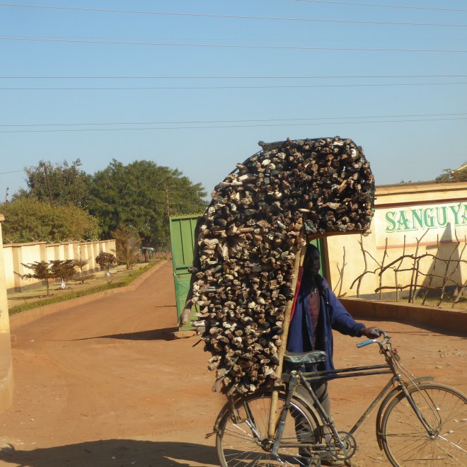Really big load of firewood.