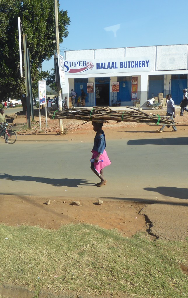 Young girl carrying heavy load of wood in Zomba 