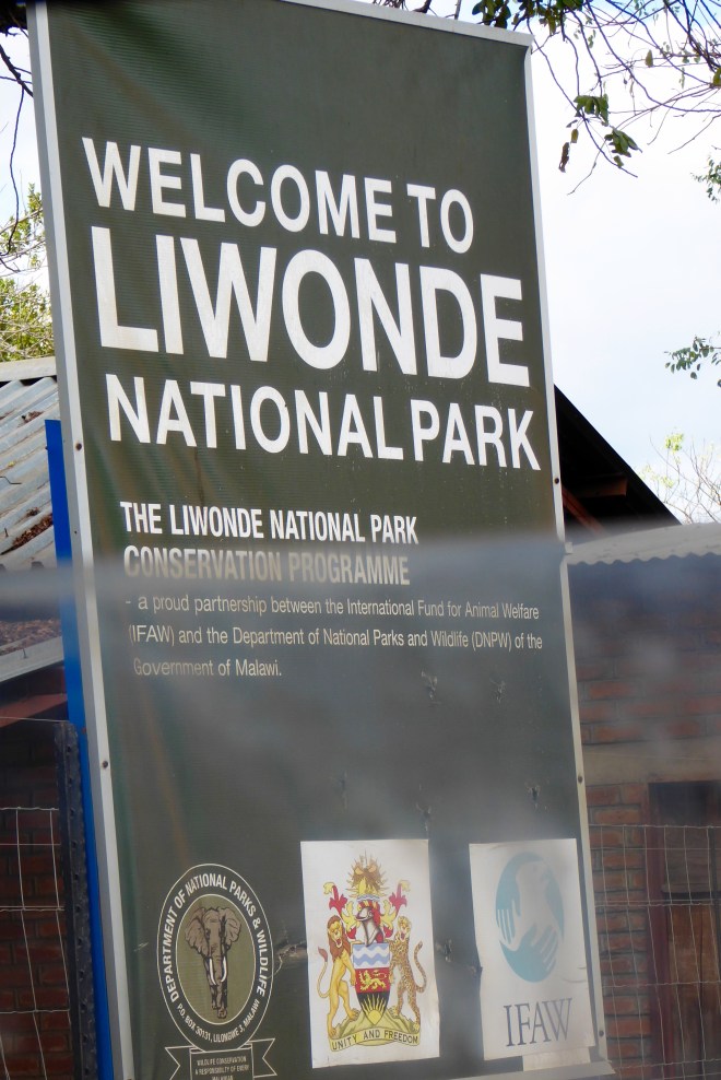 Liwonde National Park in Malawi