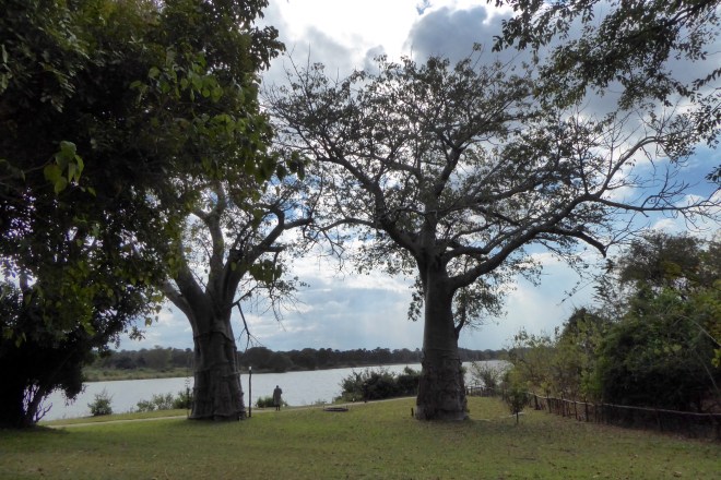Shire River from lodge