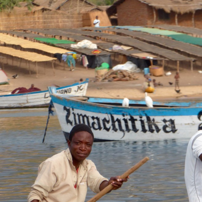 From our boat looking back to shore