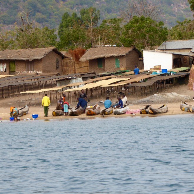 Fish drying racks