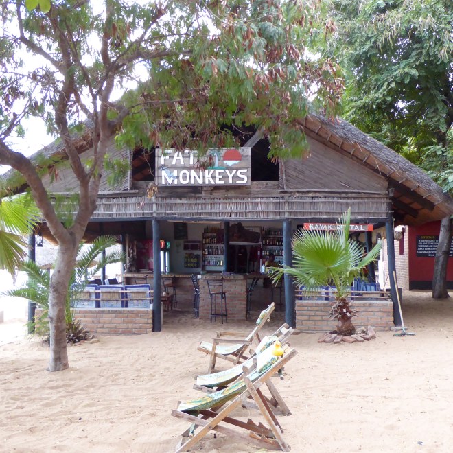 Lounge chairs near Fat Monkeys Bar