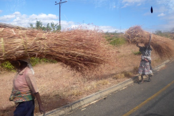Perfect posture with incredible balance and strength