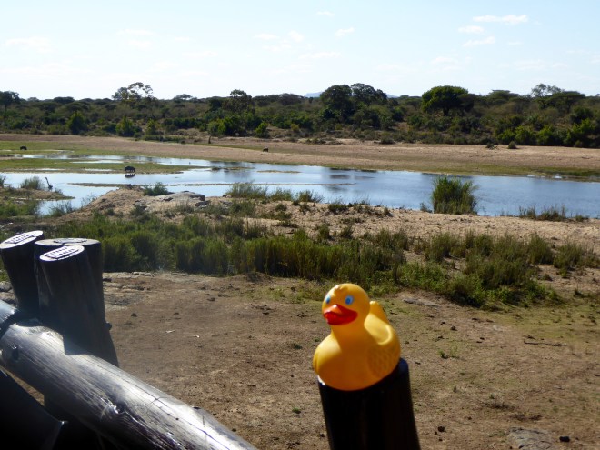 View of the river in Kruger National Park