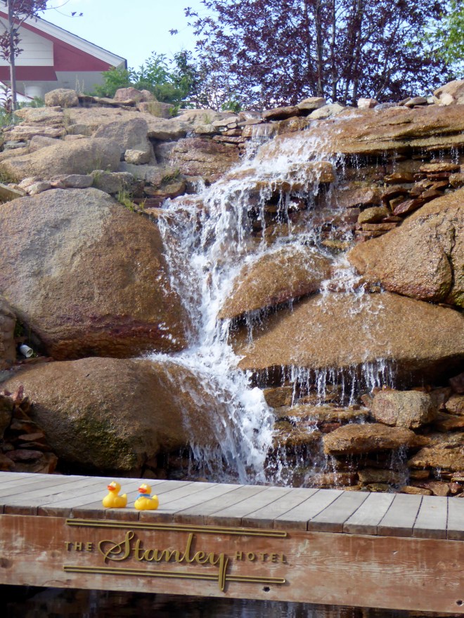 View of waterfall during lunch