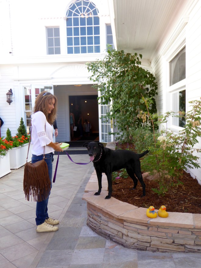 Stevie is hoping for leftovers.