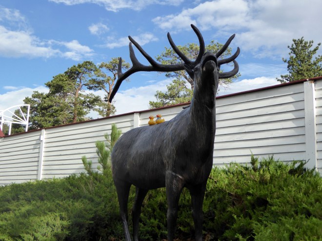 Colorado Traveling Ducks on bronze elk