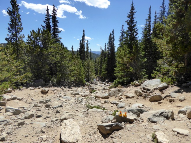 Wide trail with large rocks. Please do not try to drive vehicles here
