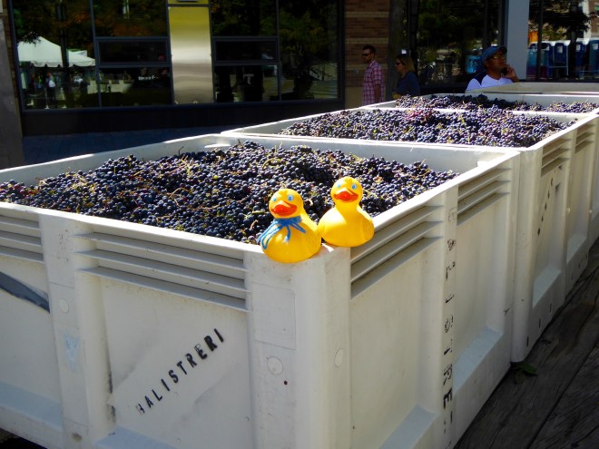 Stomp these grapes!