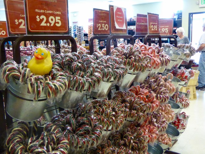 Never have I seen so many candy canes