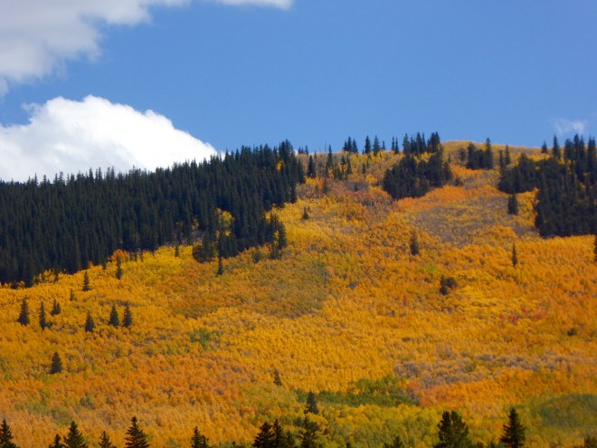 Kenosha Pass in the autumn