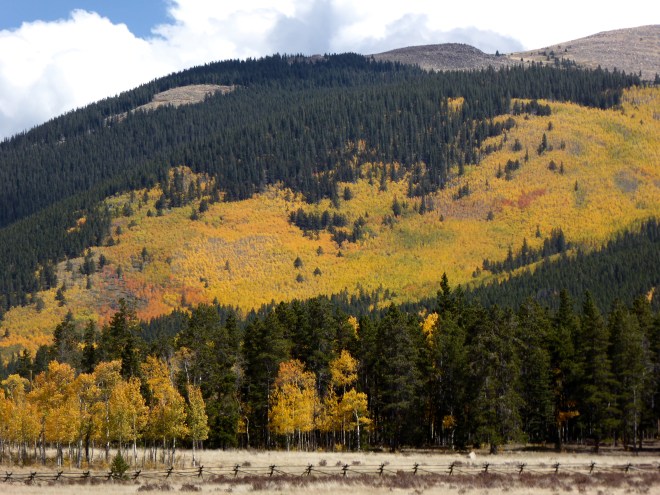 Colors and fence in foreground