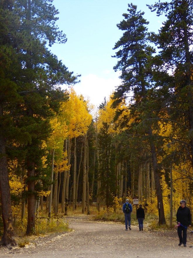 Hiking in campground