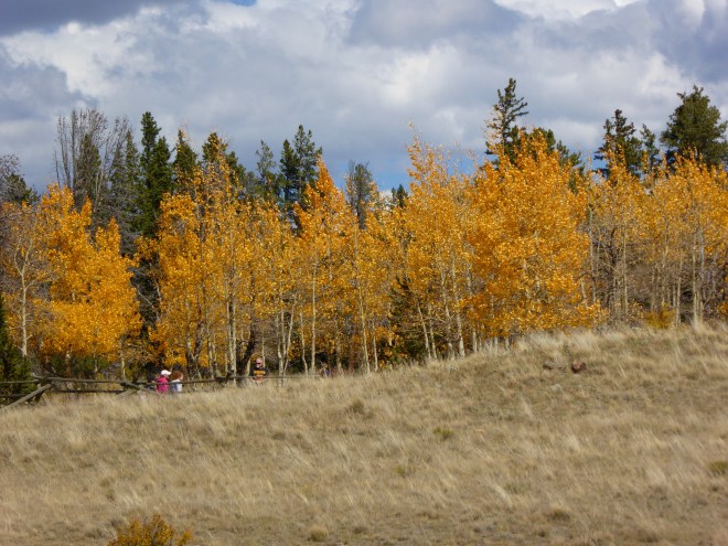 Hiking this beautiful day.
