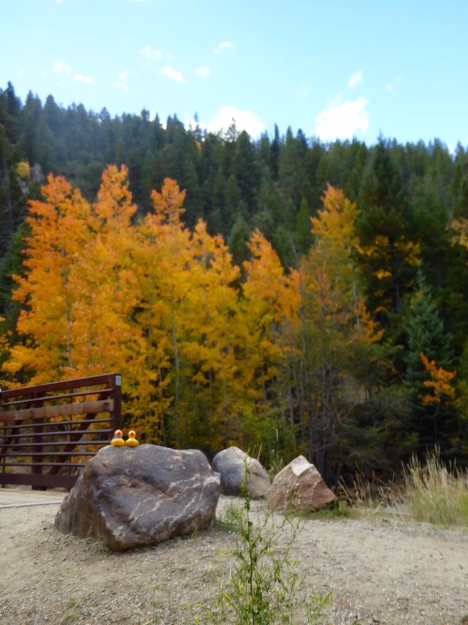 Beautiful colors at Geneva Creek 