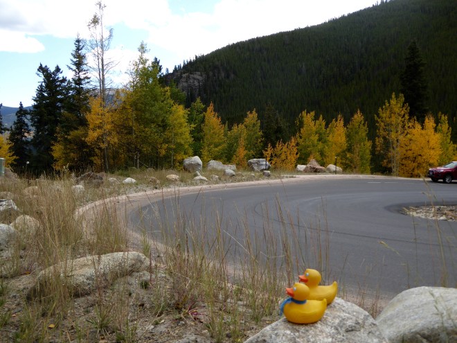 Around each curve is more beauty