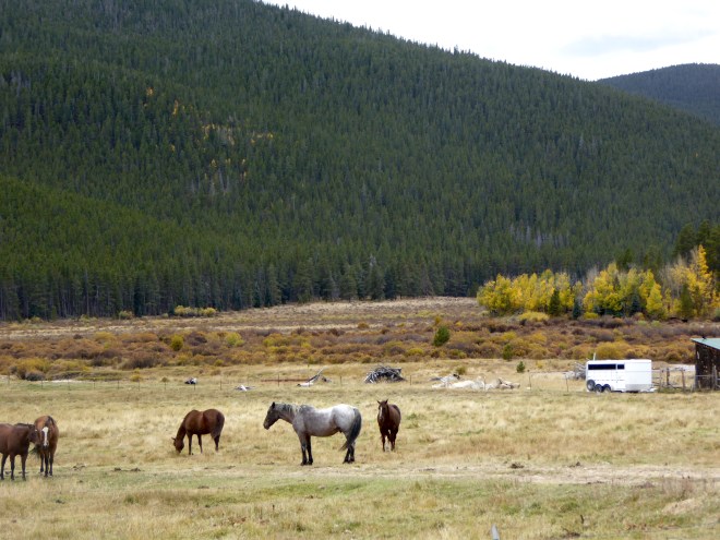 Mountains and horses.