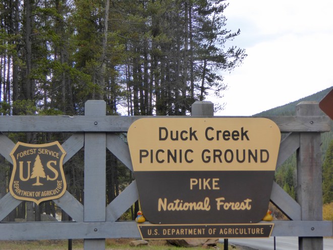 Duck Creek Picnic Ground. For us?