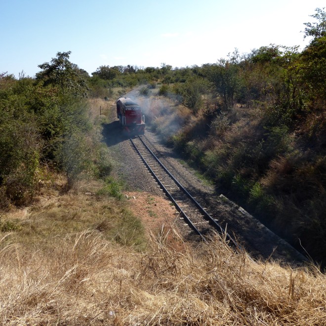Train through Victoria Falls, Zimbabwe. Between town and waterfalls