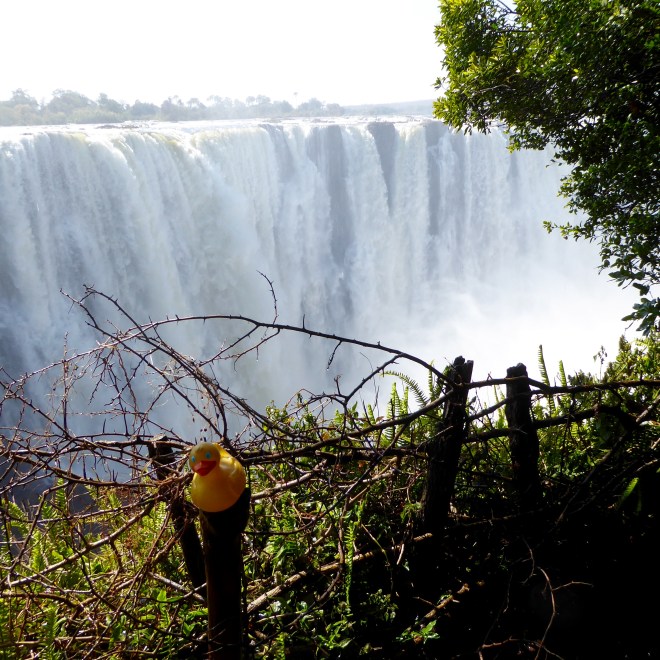 This is called Main Falls. Beautiful, wet and loud