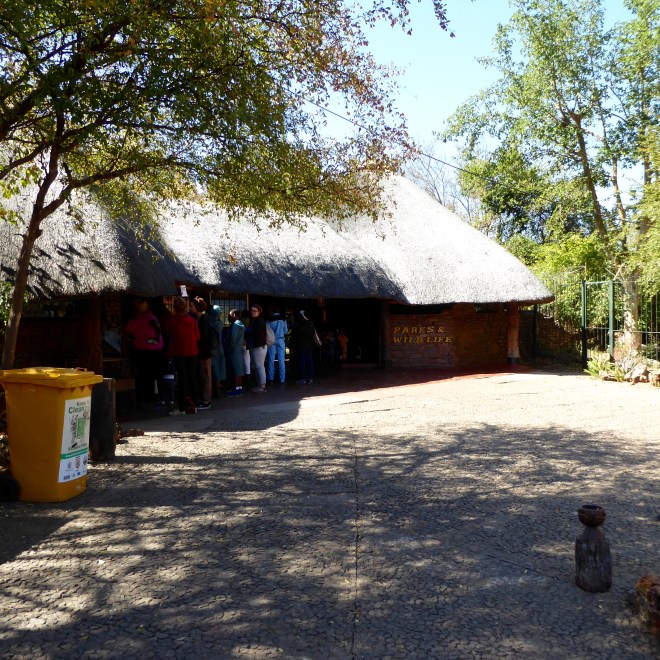 Let's buy a ticket and go inside.