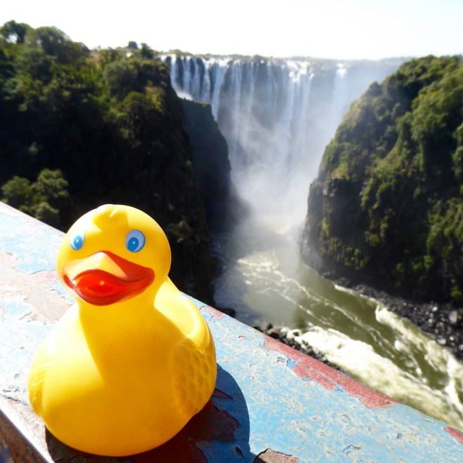 Victoria Falls from Victoria Falls Bridge