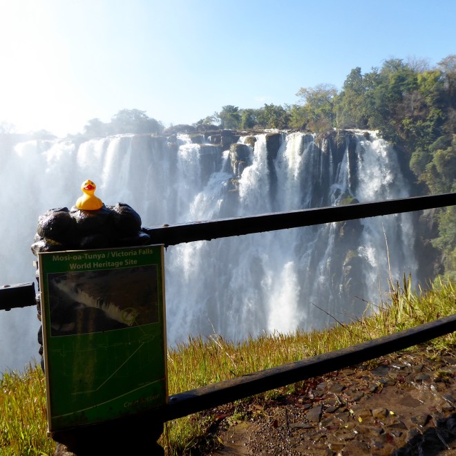 Victoria Falls from Victoria Falls Bridge