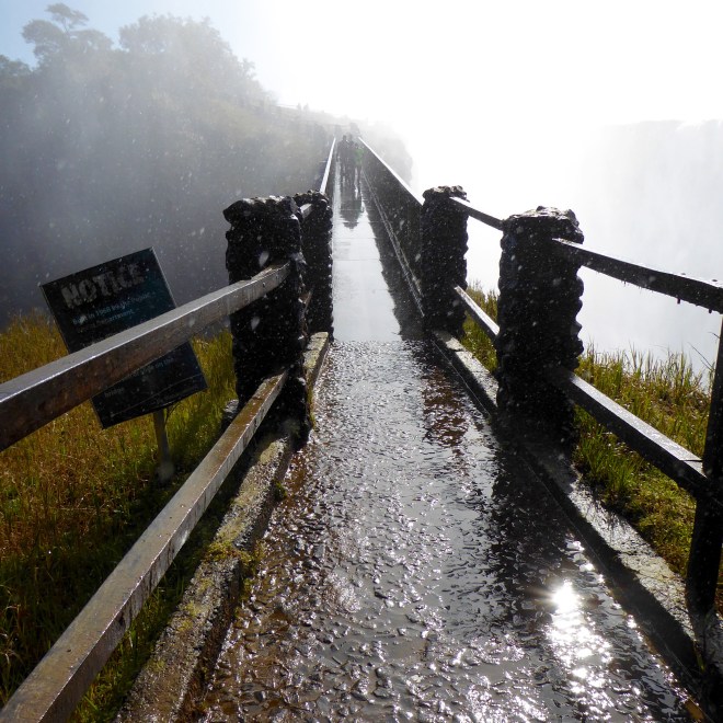 Walk over this bridge. Spray from falls keeps everything and everybody wet.