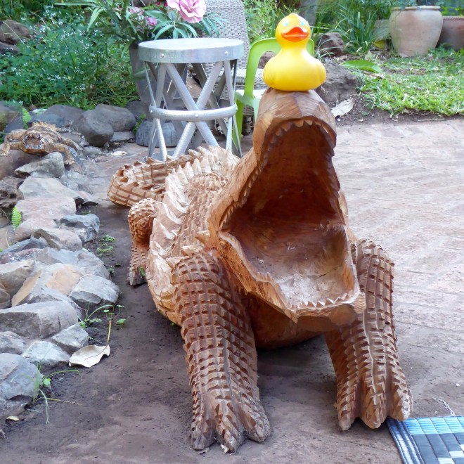 I like this crocodile