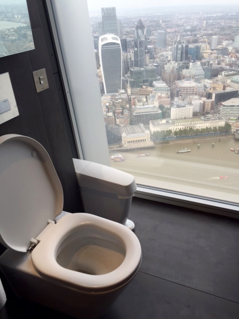 Loo with a View