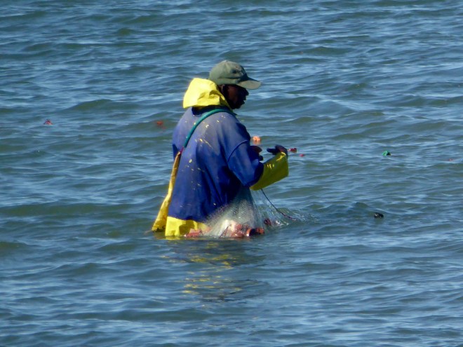 Bringing in fishing nets