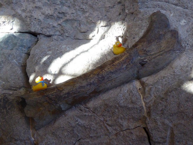 Bones still in the earth